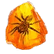 Shuddering Fossil