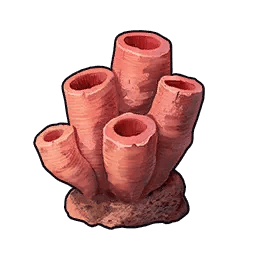 Coral Chunk *10