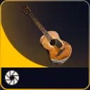 Acoustic Guitar